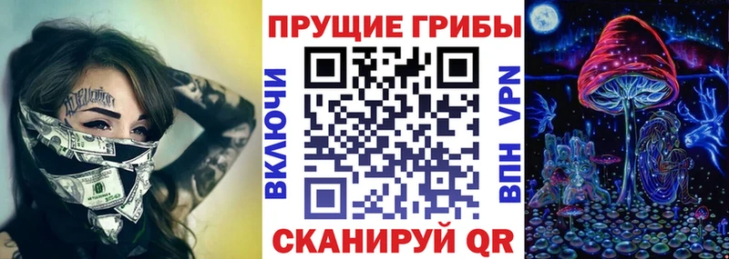мега зеркало  маркетплейс формула  Пудож  Псилоцибиновые грибы MAGIC MUSHROOMS  купить наркотик 