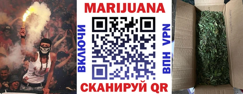 Канабис сатива  цена   Пудож 